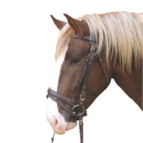 HOOFDSTEL VOOR TREKPAARD HOOFDSTEL VOOR TREKPAARD